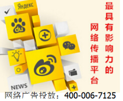 網(wǎng)絡廣告.網(wǎng)絡廣告投放案例.互聯(lián)網(wǎng)廣告