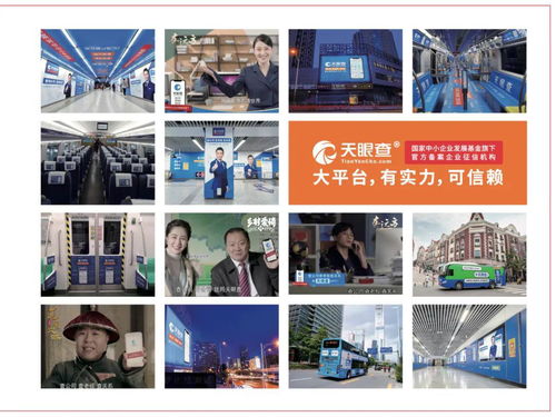 企業(yè)信息查詢平臺的 中場戰(zhàn)事